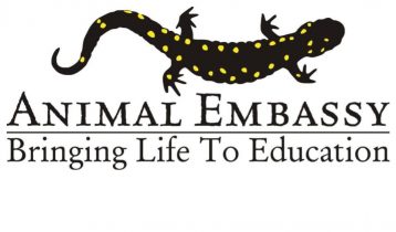 Animal Embassy: Tale of Two Tails