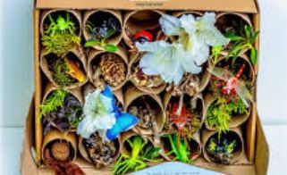 Create With Christa: Bug Hotel