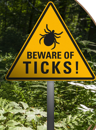 Tick Safety Talk
