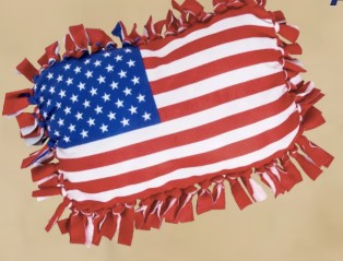 America 250 Week: Patriotic Pillow